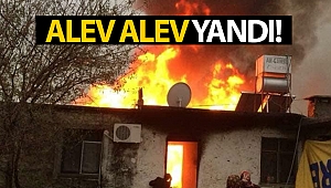 Antalya'da ev ve samanlık yangını!