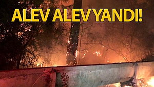 Antalya'da orman yangını!