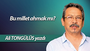 Bu millet ahmak mı?