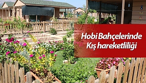 Hobi Bahçelerinde Kış hareketliliği