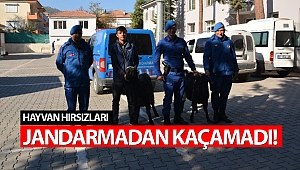Jandarma keçi hırsızlarını yakaladı!