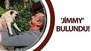 Üç haftadır kayıp olan 'Jimmy' bulundu!