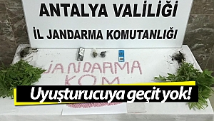 Alanya'da 738 adet uyuşturucu hap ele geçirildi!