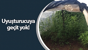 Alanya'da seraya uyuşturucu baskını!