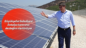Büyükşehir Belediyesi Antalya tarımına desteğini sürdürüyor