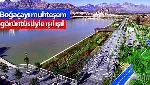 Bataklıktan doğan yeni yaşam alanı büyülüyor