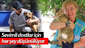 Büyükşehir, sokak hayvanlarını yalnız bırakmadı
