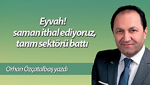 Eyvah! saman ithal ediyoruz, tarım sektörü battı
