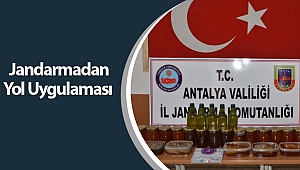 Jandarmadan Yol Uygulaması