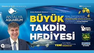 Takdir alanlar yaşadı Akvaryum ücretsiz