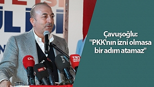 Çavuşoğlu: 