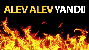 Kaş'ta zeytinlik alanda yangın!