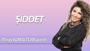 ŞİDDET