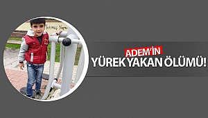 6 yaşındaki Adem'in yürek yakan ölümü!