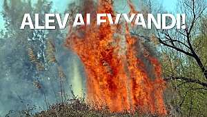 Antalya'da korkutan sazlık yangını!