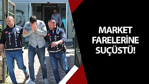 Antalya'da market farelerine suçüstü!