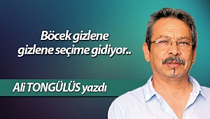Böcek gizlene gizlene seçime gidiyor..