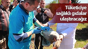 Büyükşehir Belediyesi kanatlı hayvanlara yönelik aşı seferberliği başlattı