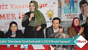 Çelik: 