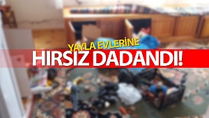 Hırsızlar yayla evlerine dadandı!