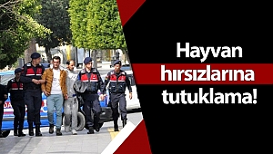 Manavgat'ta küçükbaş hayvan hırsızlığına tutuklama!