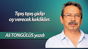 Tıpış tıpış gidip oy verecek keklikler..