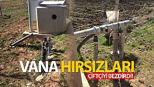Vana hırsızları çiftçiyi bezdirdi!