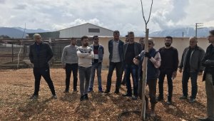 AÜ seracılık bölümü öğrencileri ceviz ve mantar üretimini yerinde gördü