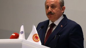 TBMM Başkanı Şentop'tan Fransa'nın 24 Nisan kararına kınama