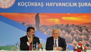 TÜDKİYEB Başkanı Çelik: "Aşı desteği istiyoruz"