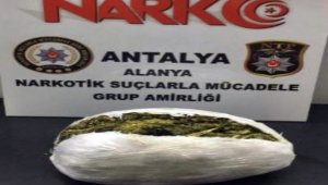 Alanya'da 1.5 kilogram esrar ele geçirildi