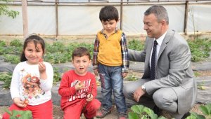 Antalya çilek üretiminde marka