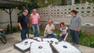 Antalya'da 10 ton ipek böceği yaş kozası üretiliyor