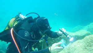 Antalya'nın deniz biyoçeşitliliği inceleniyor