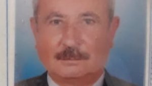 Budamak için çıktığı ağaçtan düşüp hayatını kaybetti