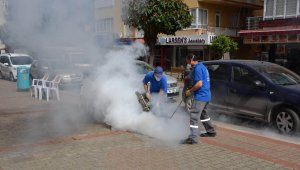 Büyükşehirden sinekle mücadele