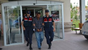 Hayvan otlama cinayetinin zanlısı tutuklandı