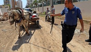 Hırsızlık teşebbüsünde kullanılan kör ata, polis ve güvenlikçi şefkati