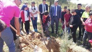 Kaş'ta Trafik Haftasında fidan dikildi