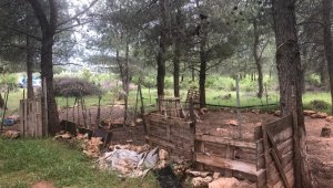 Topraktan alınan lastik numunesi, hırsızları 300 kilometre uzaklıkta ele verdi
