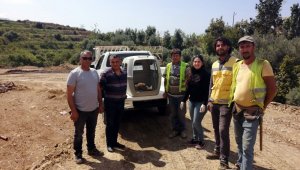 Yaralı tilki tedavi altına alındı