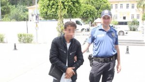 Zeytinyağı hırsızına bekçilerden suçüstü