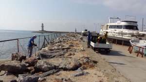 Alanya'da haşere mücadelesi sürüyor