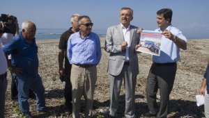 Caretta carettalar için havai fişek yasağı