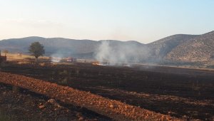 Kargalar 200 dekarlık anız ve ekin yangınına sebep oldu