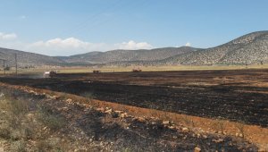 Korkuteli'nde anız ve ekin yangını