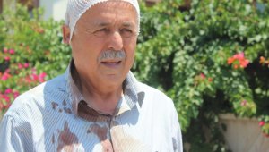 Manavgat'ta sokak köpeklerinin saldırdığı yaşlı adam hastanelik oldu