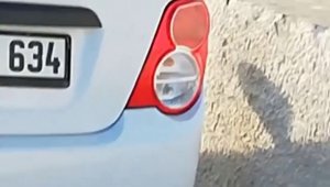 Sesinden rahatsız oldukları kargaları tüfekle vurdular