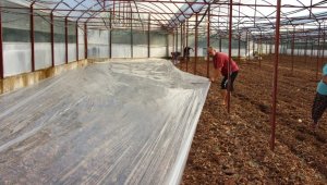 Virüse dayalı ve fungusit hastalıklarla baş edemeyen çiftçiler, seralarda solarizasyon uygulaması başlattı