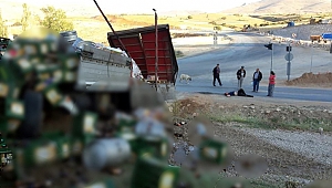 Alkollü içecek  taşıyan TIR  devrildi